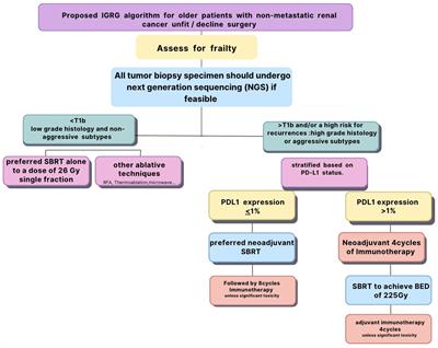 Immunotherapy and stereotactic body radiotherapy for older patients with non-metastatic renal cancer unfit for surgery or decline nephrectomy: practical proposal by the International Geriatric Radiotherapy Group